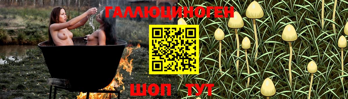 Галлюциногенные грибы мухоморы  Галлюциногенные грибы прущие грибы  Вход с VPN  Рыбинск 
